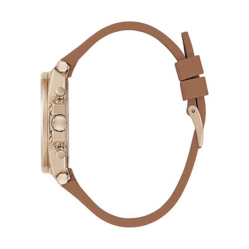 Guess Watches Gw0699l2 (GW0699L2)  Watch_4