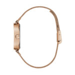 Guess Watches Gw0768l3 (GW0768L3)  Watch_3