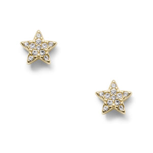 Fossil Jewels Women's Earrings (JF03158710)
