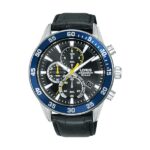 Lorus Watches Rm331jx9 (RM331JX9)  Watch_2