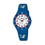 Lorus Watches Rrx49gx9 (RRX49GX9)  Watch_main