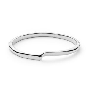 Skagen Denmark Jewels Jewelry Skj1005040(Skj1005040)