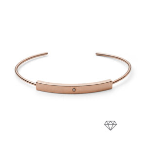 SKAGEN DENMARK JEWELS HELENA (SKJ1164791)