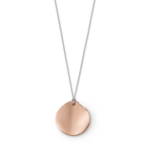 SKAGEN DENMARK JEWELS JEWELRY SKJ1592998 (SKJ1592998)