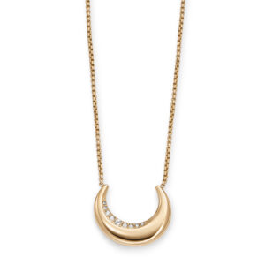 SKAGEN DENMARK JEWELS JEWELRY SKJ1614710 (SKJ1614710)