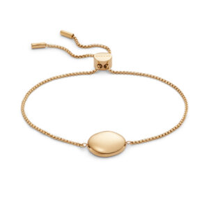 SKAGEN DENMARK JEWELS JEWELRY SKJ1775710 (SKJ1775710)