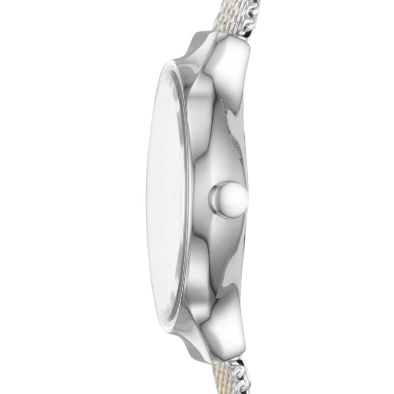 Skagen Denmark Watches Skw2698 (SKW2698)  Watch_3