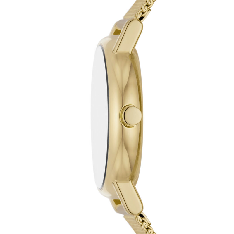 SKAGEN SIGNATUR LILLE (SKW3111) - Image 3