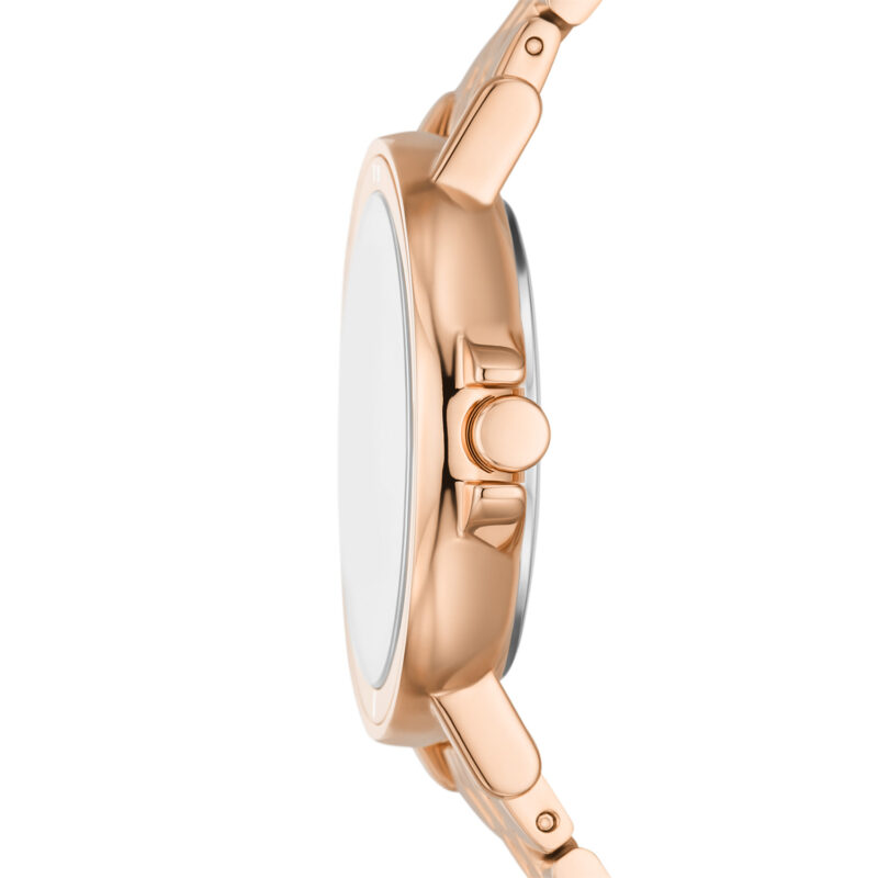 Skagen Signatur Lille (SKW3136) Women's Watch_1
