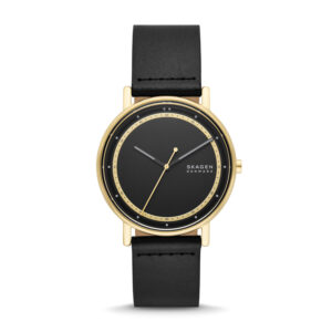 SKAGEN SIGNATUR (SKW6897)