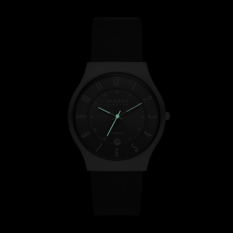 SKAGEN DENMARK SUNDBY TITANIUM (SKW6909) - Image 10