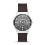 SKAGEN DENMARK SUNDBY TITANIUM (SKW6909)
