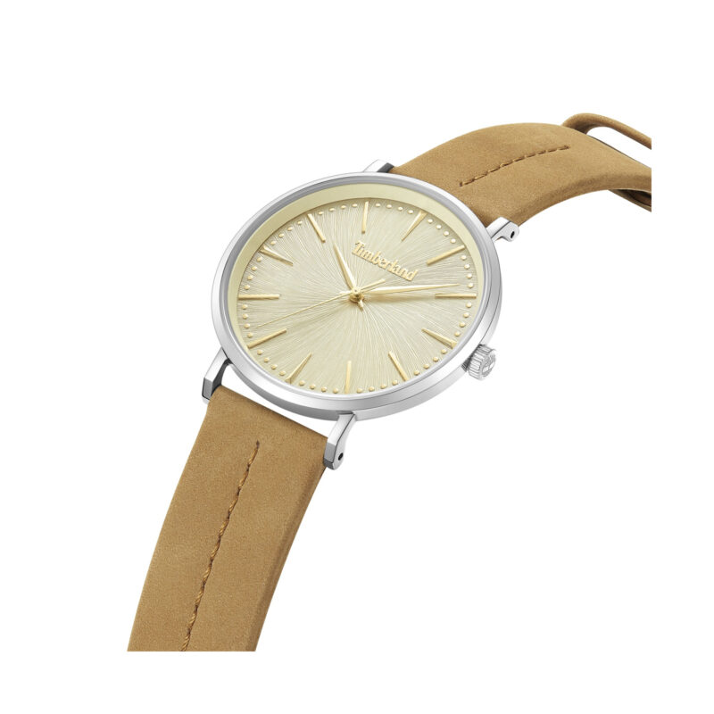 Timberland Northbridge (TDWGA0029201) Men's Watch_1