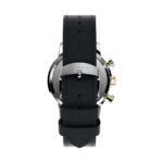 Timex Marlin (TW2W10000)  Watch_2
