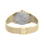 Timex Q Falcon Eye (TW2W62500)  Watch_3
