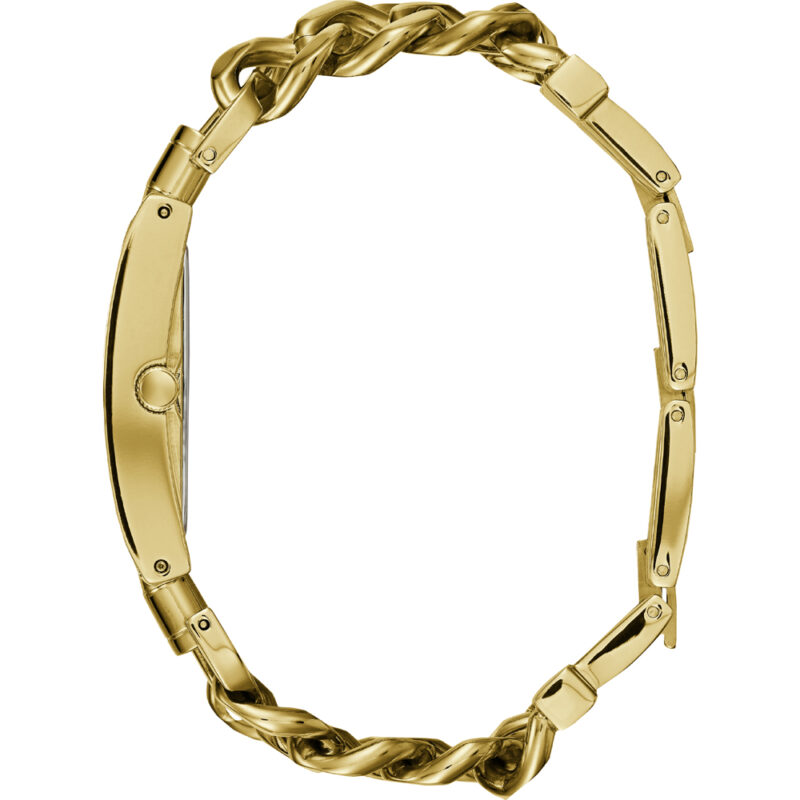 Guess Watches W1117l2 (W1117L2) Women's Watch_1