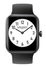 Citizen Vagary X02a-001vy (X02A-001VY)  Watch_main